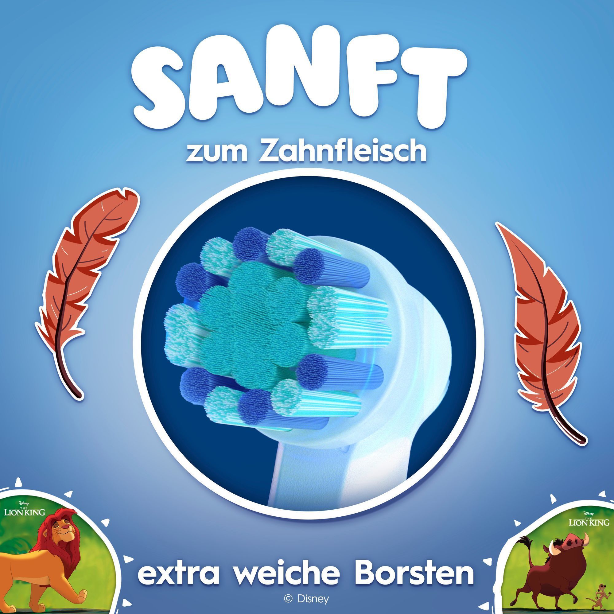 Abbildung eines BÃ¼rstenkopfs mit Feder-Symbolen, die die Sanftheit betonen.