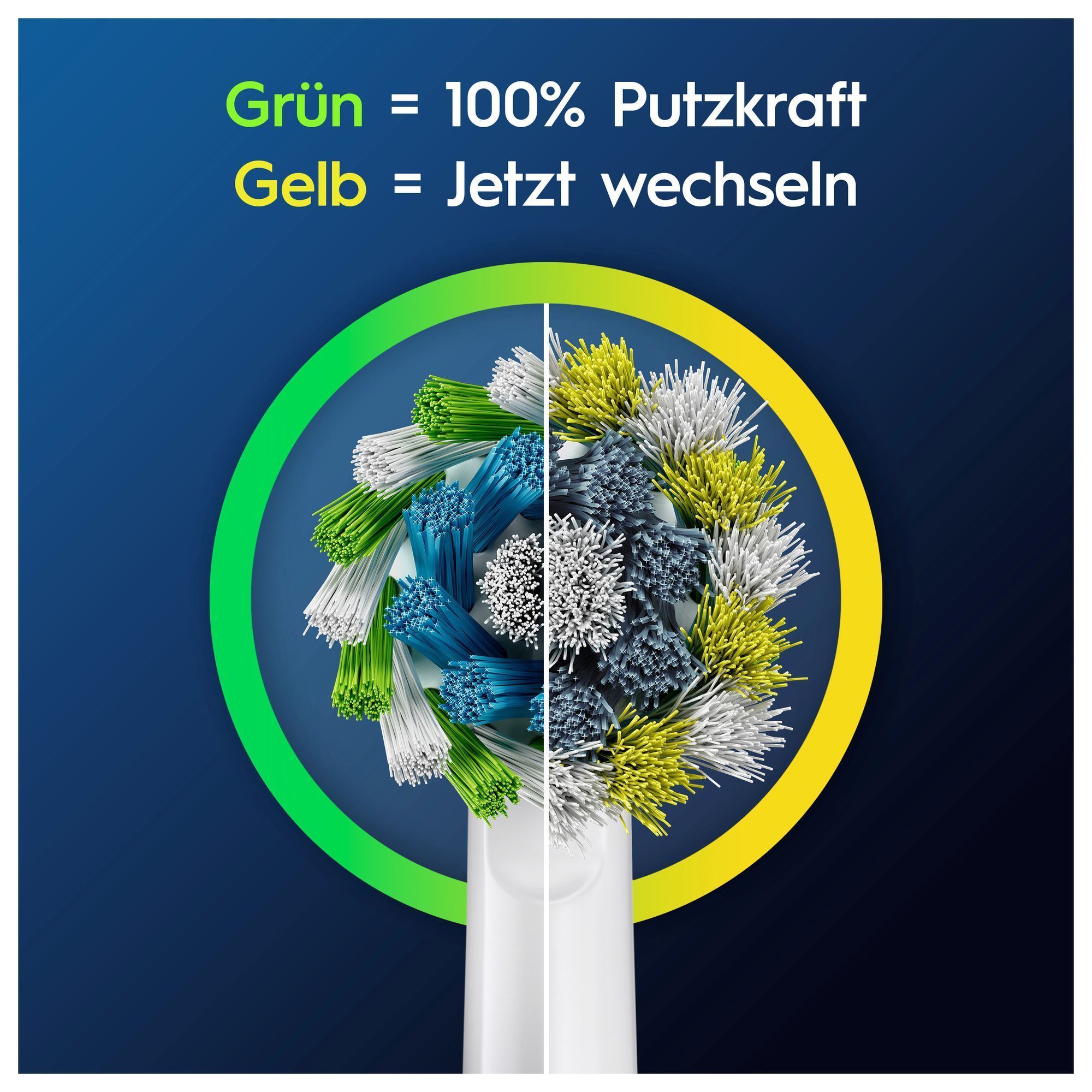 Oral-B Bürstenkopf: Grüne Borsten bedeuten 100% Putzkraft, gelbe Borsten zeigen an, wann der Bürstenkopf gewechselt werden sollte.