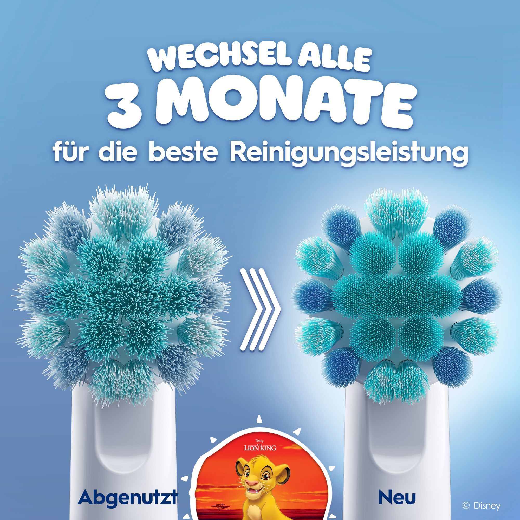 Vergleich von einer abgenutzen AufsteckbÃ¼rste ggÃ¼. einer neuen AufsteckbÃ¼rste. KÃ¶nig der LÃ¶wen ist in der Mitte zu sehen.