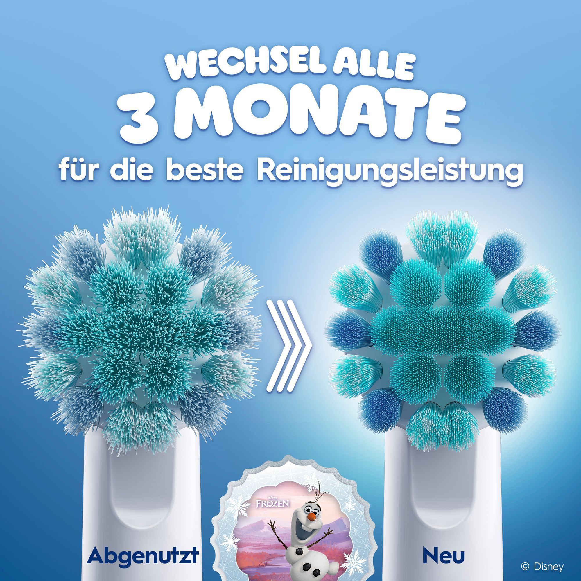Vergleich von einer abgenutzen Aufsteckbürste ggü. einer neuen Aufsteckbürste. Olaf ist in der Mitte zu sehen.