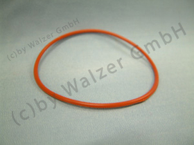 DeLonghi #O-Ring/Dichtung