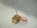 DeLonghi Thermostat