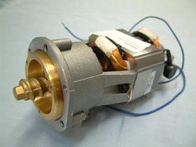 Saeco Mahlwerk 220V kplt.