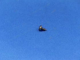 Saeco #Torx-Schraube 3.9x6.5 DIN7981-F, inox